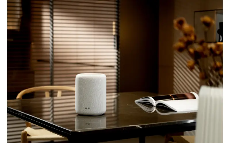 WiiM Sound Lite Targets Sonos as Multiroom Audio Crown Slips